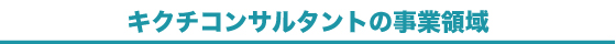 キクチコンサルタントの事業領域