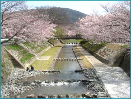 建設コンサルタント (河川、砂防及び海岸・海洋) 画像1