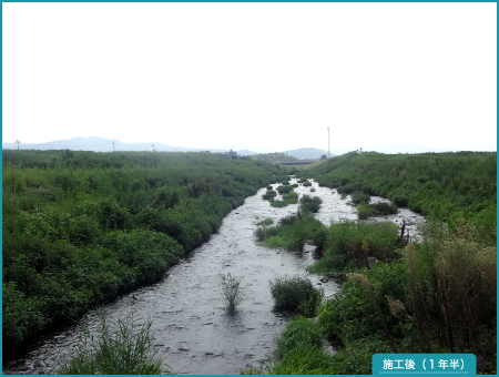 建設コンサルタント (河川、砂防及び海岸・海洋) 画像5